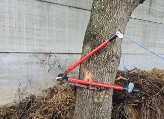 SSP desactiva 17 artefactos explosivos de pirotecnia en Uruapan