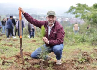 Michoacán impulsa reforestación histórica para recuperar el lago de Pátzcuaro: Bedolla