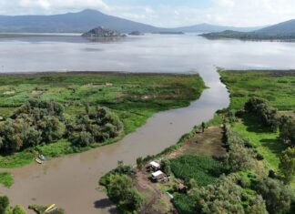 Por decretarse otras 8 mil ha de conservación en la cuenca del lago de Pátzcuaro: Bedolla