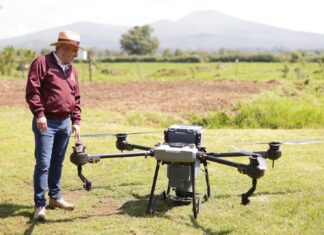 Viveros del estado con producción histórica de plantas para reforestar: Bedolla