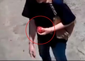 Falsa «limpia» con jitomate termina en robo a abuelita en Morelia; alertan sobre nuevo modus operandi