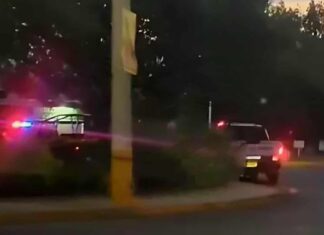 Violencia en Apatzingán: Abandonan el cuerpo decapitado de una mujer; van tres víctimas en un solo día