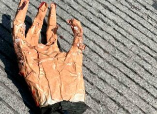 Falsa mano humana moviliza a policías en Villas del Pedregal, Morelia