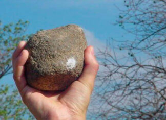 Vinculan a proceso a pareja por agredir a mujer en Buenavista por motivos religiosos