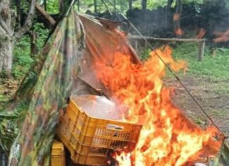 Asegurados tres hombres, granadas, armas y municiones en Buenavista: SSP