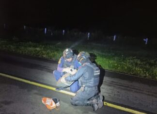 SSP neutraliza artefacto explosivo de pirotecnia en Iratzio