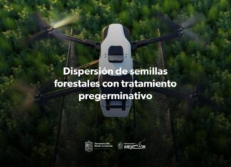 Arranca reforestación por aire; con drones se lanzarán más de 200 mil semillas: Bedolla