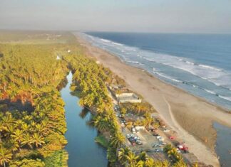 Manglares de Michoacán, más de 4 mil hectáreas de tesoro natural bajo protección: Secma