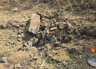 Limoneros de Apatzingán denuncian presencia de narcominas en sus huertas; van dos jornaleros fallecidos en 2025