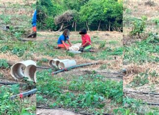 Asesinan a dos niños y un adulto en comunidad indígena de Aquila, Michoacán