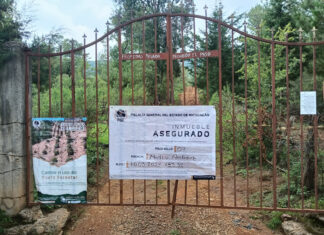 Cumple FGE orden de cateo por delitos ambientales en Erongarícuaro