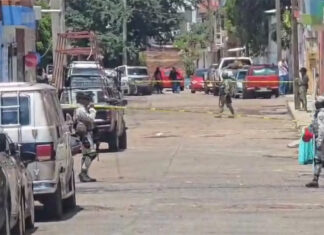 Localizan jaguar muerto y dos artefactos explosivos en Jacona