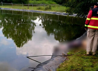 Localizan sin vida a adolescente en huerta de Ario de Rosales