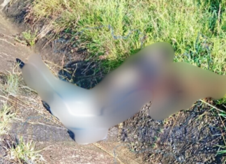 Hallan a un hombre sin vida con múltiples impactos de bala en la colonia Rancho Las Flores, Morelia