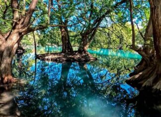 Escápate este verano al lago de Camécuaro, joya natural de Michoacán: Sectur