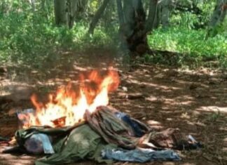 SSP y Defensa destruyen campamento de la delincuencia organizada