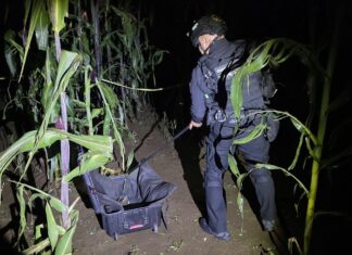 Grupo especial antiexplosivos desactiva granada de gas en Arantepacua