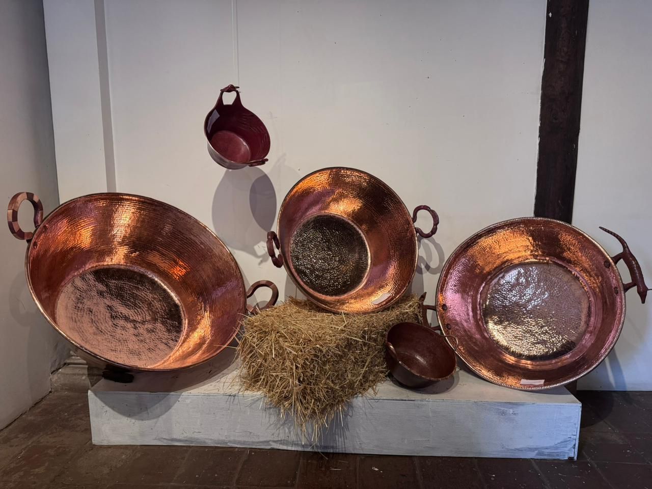 WhatsApp Image 2025-08-10 at 3.27.01 PM