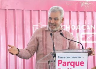 Con energía 100% limpia operará el Polo de Desarrollo: Bedolla