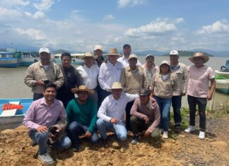 Gobierno de Michoacán siembra 15 mil crías de pescado blanco en el lago de Pátzcuaro