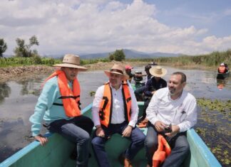 Michoacán va por el rescate y protección del pescado blanco: Bedolla