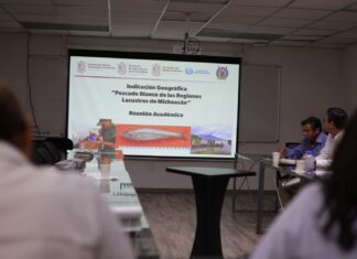 Pescado blanco de Pátzcuaro será protegido con Indicación Geográfica: ICTI