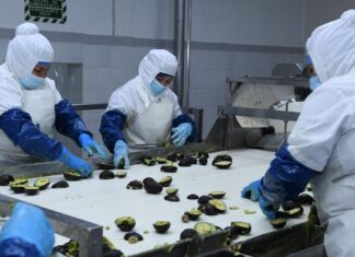 Nuevo motor económico; Parque Industrial Bajío creará más de 27 mil empleos: Sedeco