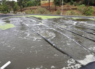 Con 120 mdp, Zamora sanea el 100% de sus aguas: Bedolla