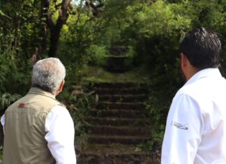 Multa ambiental se convierte en beneficio ecológico para el Cerro Punhuato: Proam