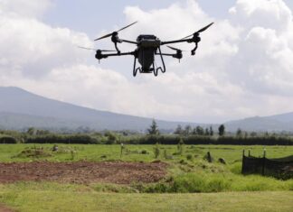 Reforestación con drones supera meta de 250 mil semillas sembradas: Bedolla