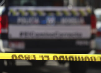 Hallan cuerpos desmembrados en carretera de Veracruz; atribuyen crimen al Grupo Sombra