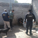 unnamed – 2025-08-30T091834.186