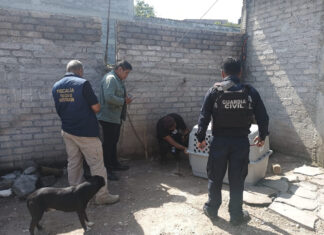 En Cuitzeo, asegura FGE a un canino por posible maltrato animal