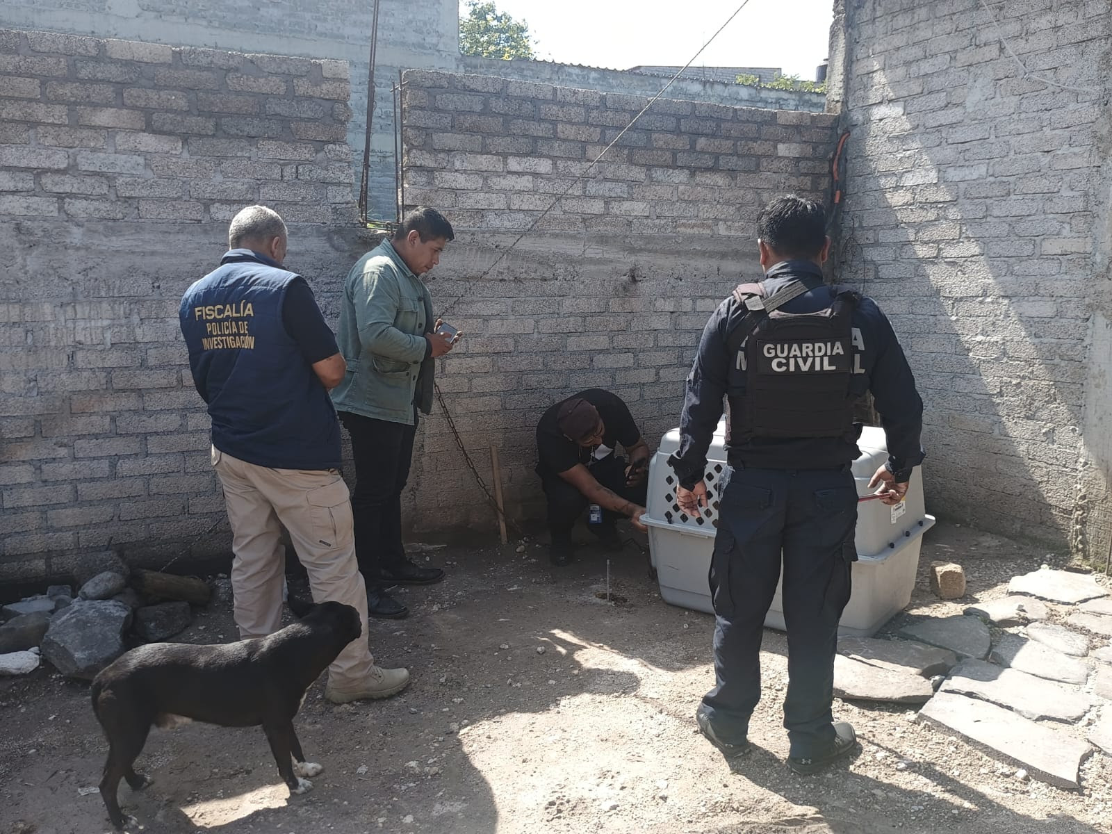 unnamed - 2025-08-30T091834.186