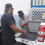 unnamed – 2025-08-30T091836.776