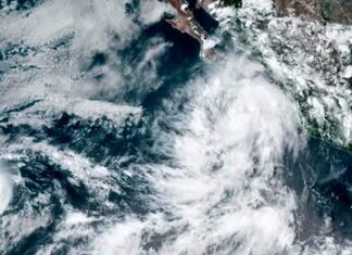 Prevén que Lorena impacte como huracán en BCS el viernes; llegaría a Sonora el sábado