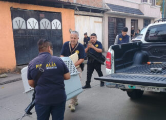 FGE asegura dos perros en condiciones de maltrato en cateo en Morelia