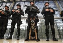 Binomios caninos de la Guardia Civil, aliados en el combate a la delincuencia: SSP