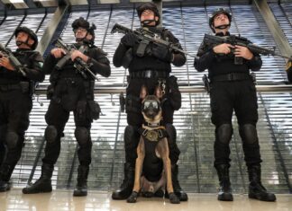 Binomios caninos de la Guardia Civil, aliados en el combate a la delincuencia: SSP