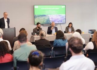 Walmart y Costco respaldan certificación contra la deforestación impulsada por Bedolla