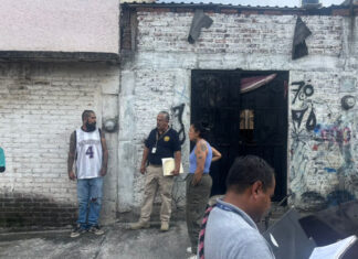 Rescata FGE a dos perros víctimas de maltrato en Morelia