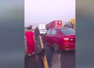 VIDEO: Conductores varados por bloqueos agrícolas en la Morelia–Guadalajara buscan víveres