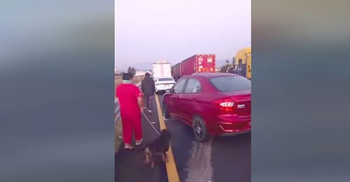 11987555249988081916