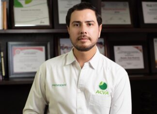 Cámaras graban que Bernardo Bravo salió de Morelia a Apatzingán con un escolta; fue ejecutado con tiro de gracia