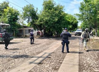 Agreden a oficiales de Guardia Civil en La Ruana; dos civiles abatidos