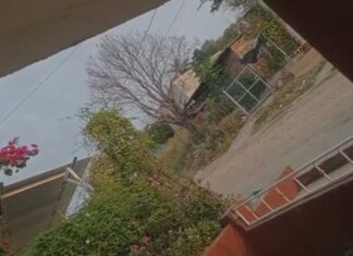 Tepalcatepec: CBTA 70 cierra puertas para resguardar a estudiantes ante enfrentamientos armados