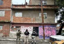 Cateo en colonia Obrera de Morelia deja 975 dosis de metanfetamina aseguradas y cuatro detenidos