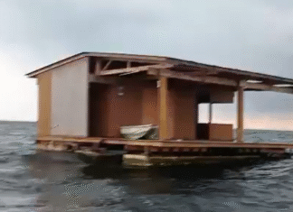 ¡Insólito! Restaurante “El Atracadero” aparece flotando tras el desbordamiento de ríos en Veracruz