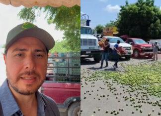 “No vale nada”: Productores tiran cajas de limón en Apatzingán por desplome del precio