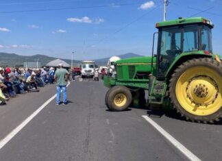 Productores de maíz rompen acuerdos y rechazan diálogo con el gobierno